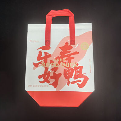 buy Custom Logo Shopping Non Woven Bag Eco Friendly Packing Promotion online manufacture