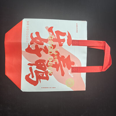 buy Foldable Lightweight Non Woven Bag 70gsm Reusable PP Fabric Heat Transfer Print online manufacture