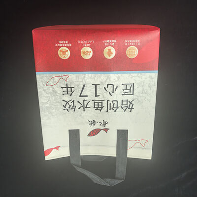 buy Extra Strong Reusable Non Woven Bag 120gsm Reinforced PP Spunbond Custom Print online manufacture